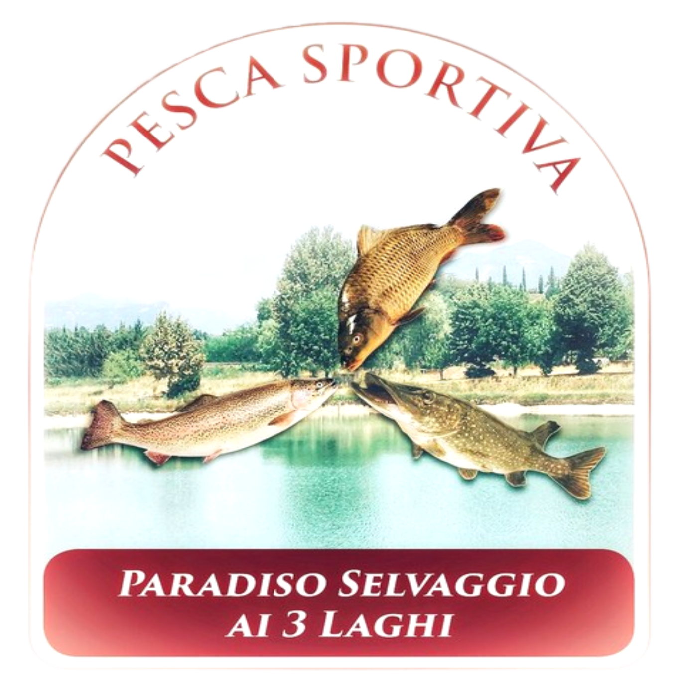 logo paradiso selvaggio